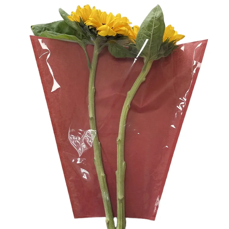 High quality printing transparent waterproof flower bouquet bag plastic transparent packaging bag
