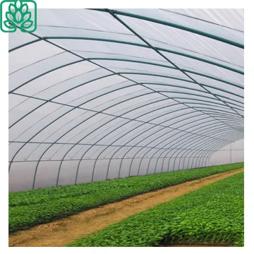 Дешевый парник оцинкованная металлическая конструкция