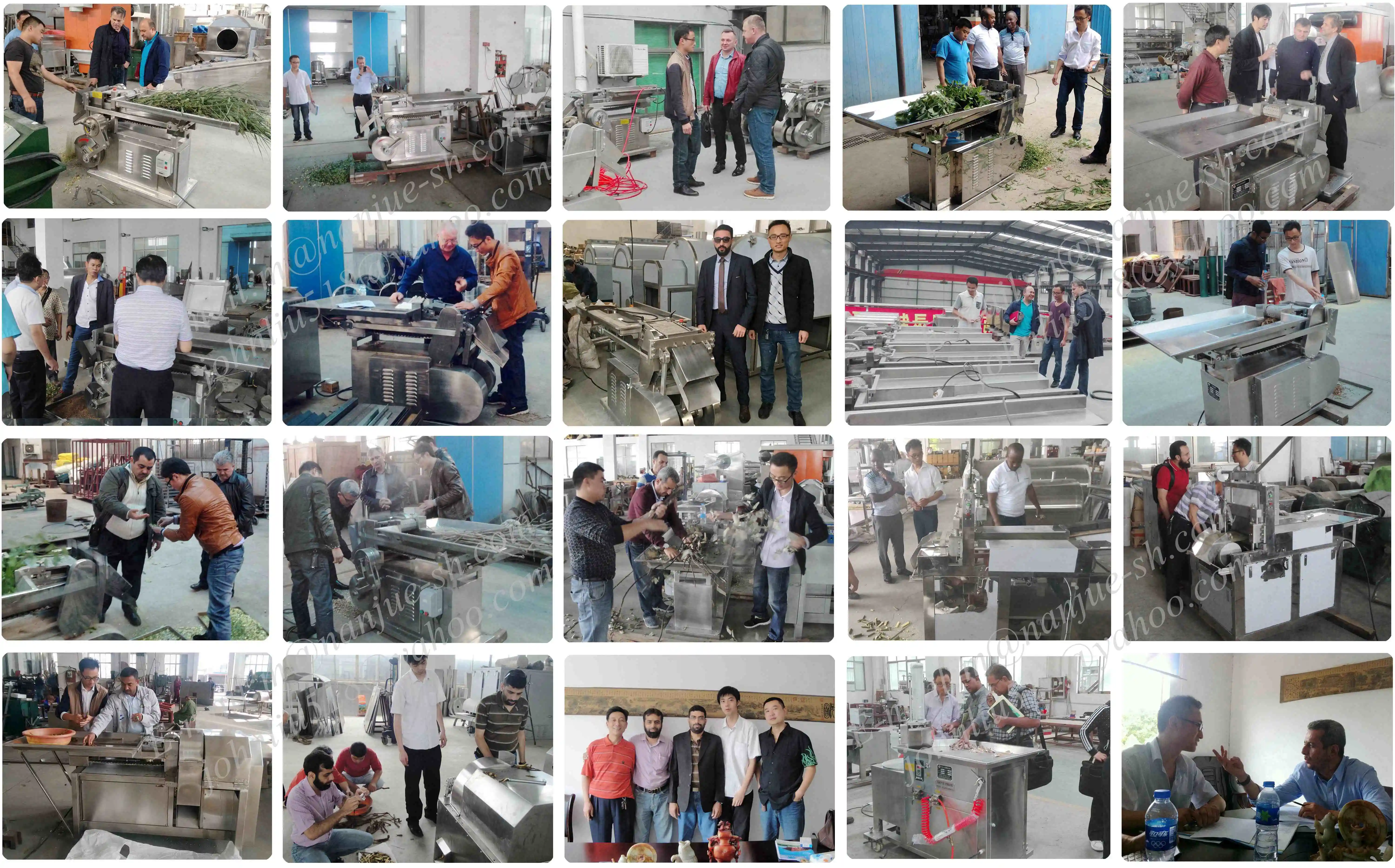 QYJ-100 herb cutting machine aromatic herb tea leaf cutter