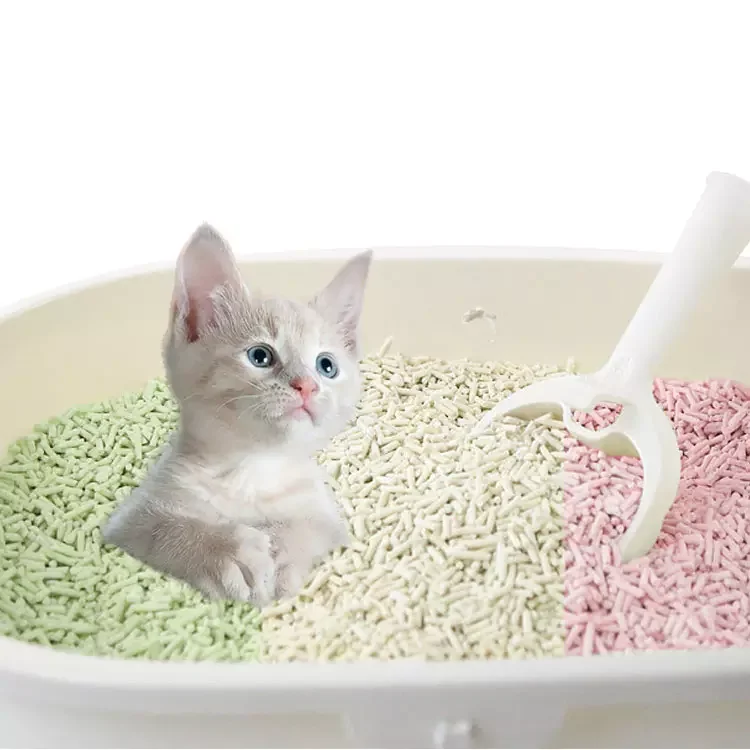 China tofu cat litter factory tofu cat litter sand mix tofu cat litter