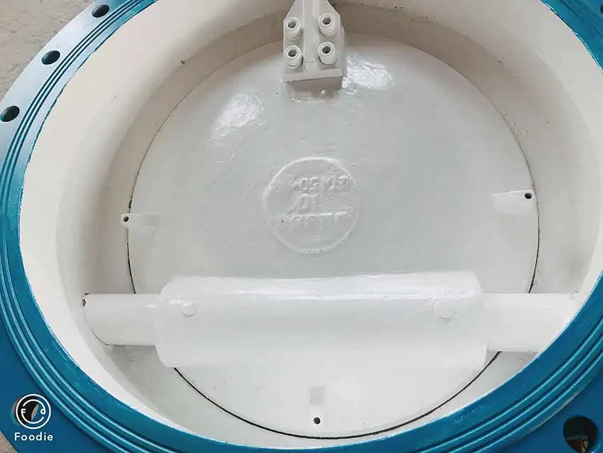 
HD48X Cast Steel Flange Micro Resistance Slow Closing Metal Check Valve 