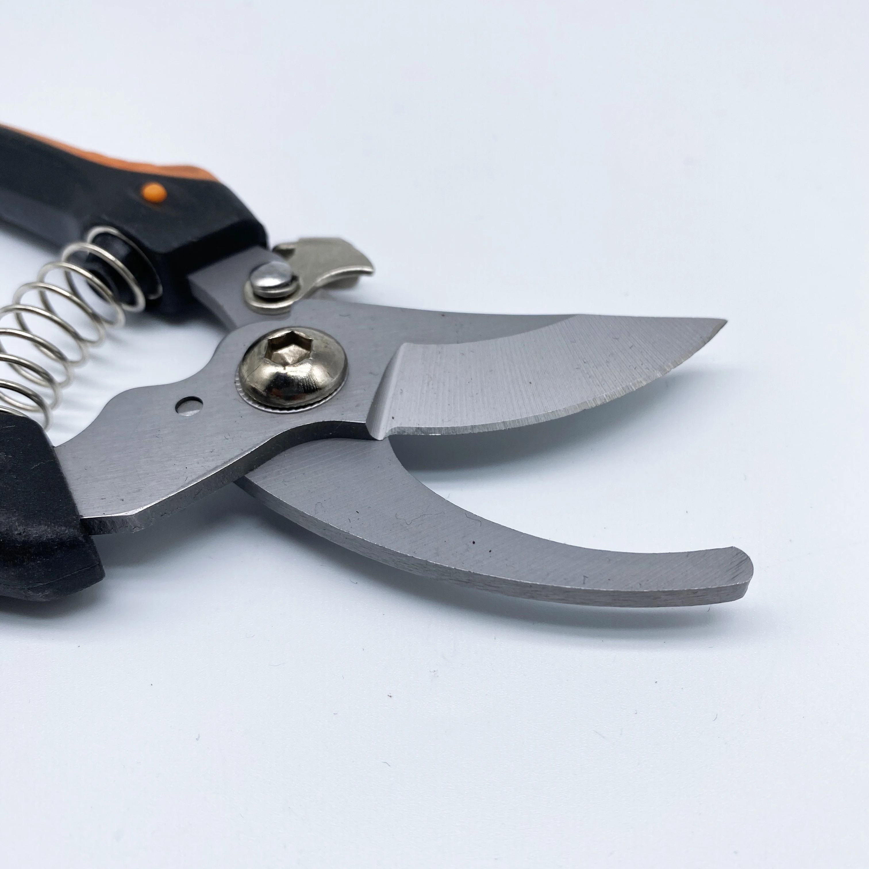 Popular Garden Tools Pruning Shears Scissors Straight Fruit Tree Pruner Bypass Industrial 5-7 Days 7.5 Inch OEM,ODM Plastic 3mm