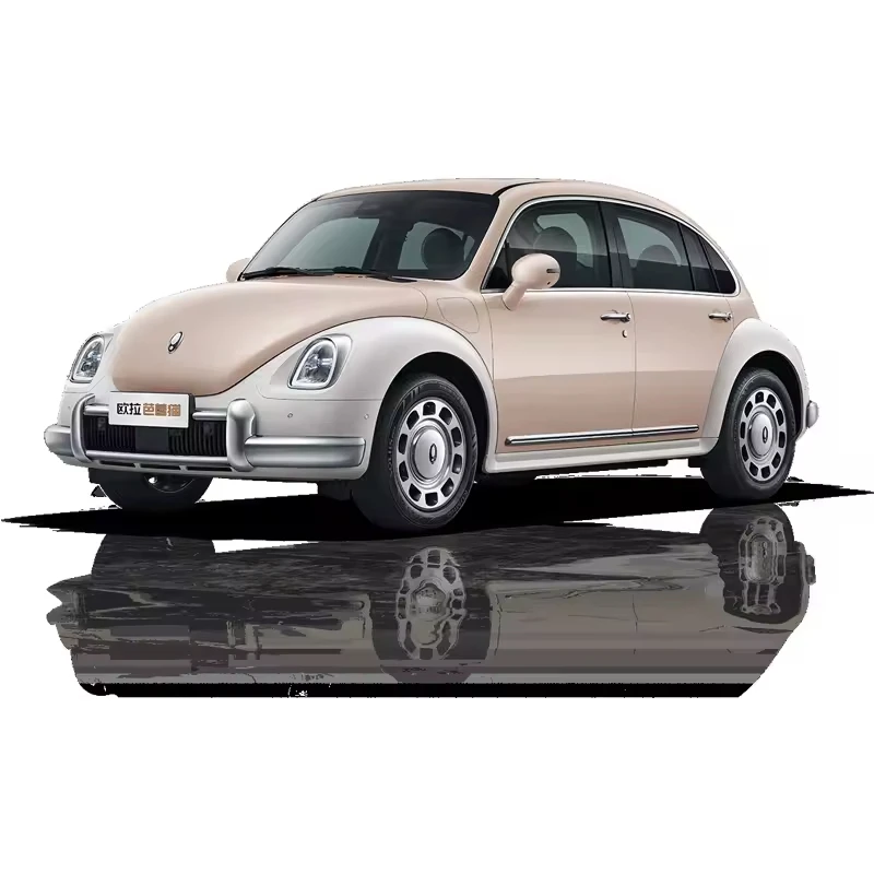 Great Wall Ora Ballet Cat Premium Edition 500KM with Automatic Gear Box Light Interior Multi-Function Steering Wheel