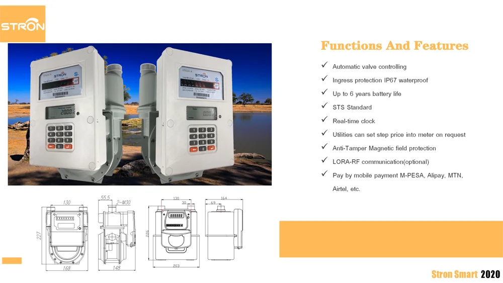 STG16-A OEM G1.6 G2.5 G4.0 Smart STS Prepaid Gas Meter