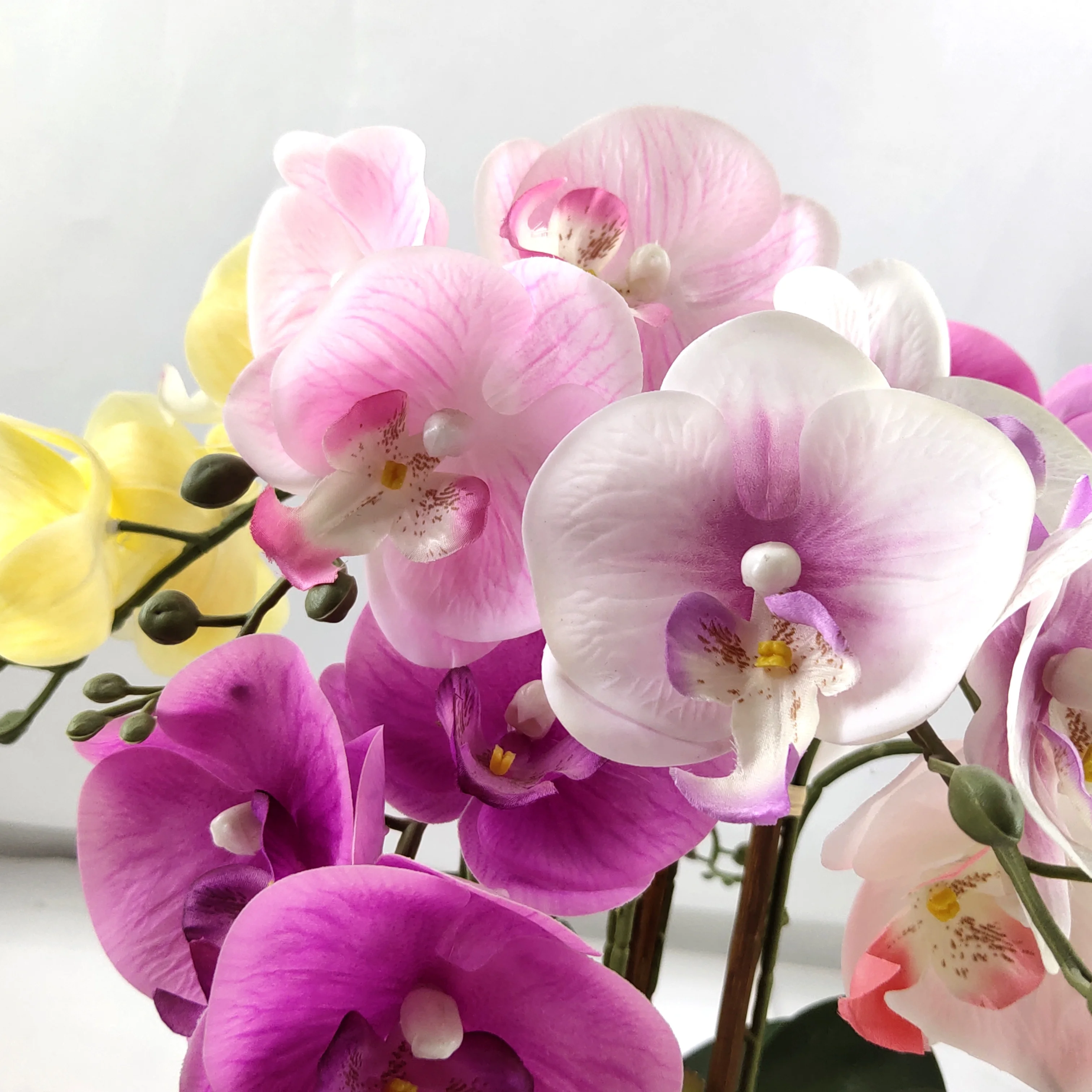 Wholesale Dendrobium Cattleya Orchid Plants Silk Preserved White Phalaenopsis Orchid Pot Artificial Orchid In The Pot