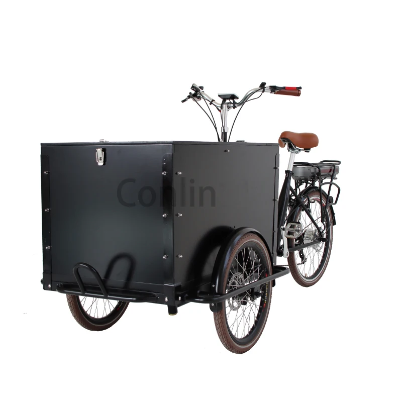 Commercial Closed Cabin Cargo Tricycle Bike Tricycle Family Cargo Bike China Bakfiets Electric Cargo Bike