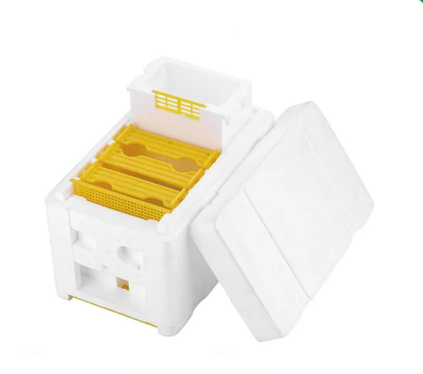 Plastic box for bee Honey Queen Bee Hive Nuc Box Mini bee Mating Boxes