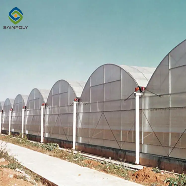 Professional Large Multi functional Agriculture Multi-Span Tomato Hydroponics Tunnel Film Greenhouse