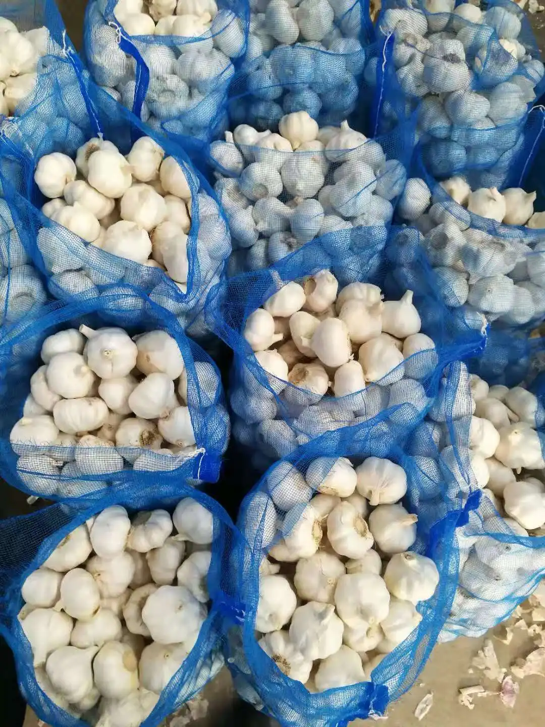 
2020 Pure White Fresh Garlic / Alho from Jin Xiang Liming 