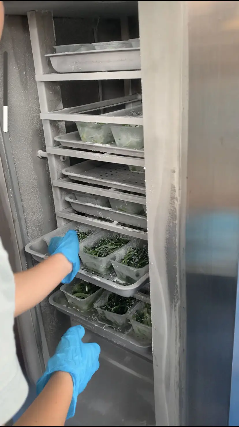 INCHOI Liquid Nitrogen Cabinet Freezer Lowest Temperature -196C  Individual Quick Freezing/Fast Freezer/Air Blast Freezer