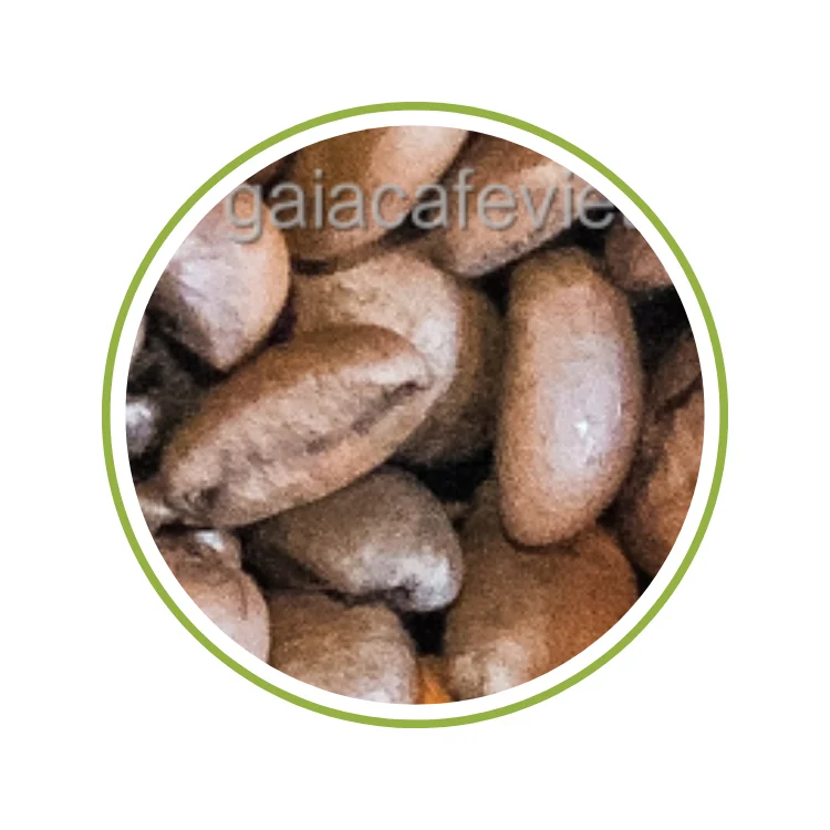 Roasted Arabica Catimor Fast Delivery Coffee Supplier Private Label Coffee Customized Packaging Vietnam Coffee Manufacturer