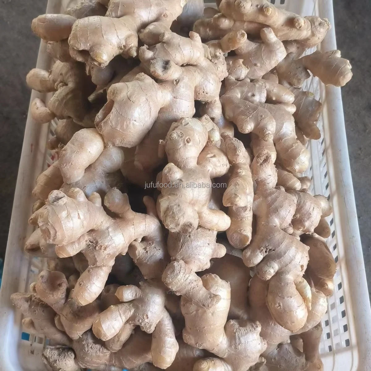 Good quality dried bulk fresh ginger market price per ton wholesale ginger buyers for buy dried ginger export from china
