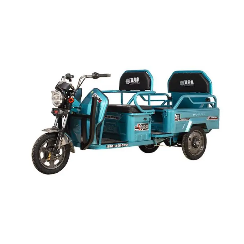 1000W wholesaler adults Multi-functional convenience tricycle electric bike electric cargo tricycle Triciclo Electrico