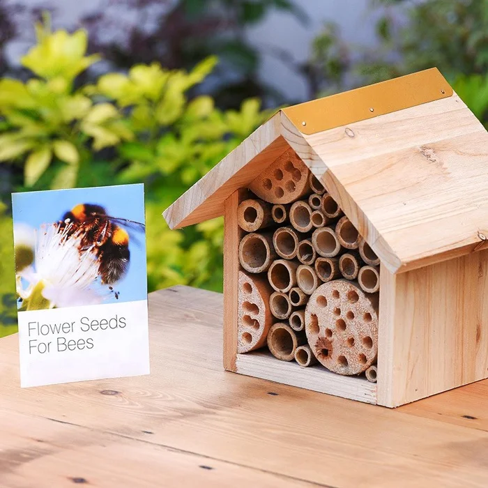 Bee Hotel and bee hive