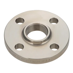 Stainless Steel 304/316L Flange