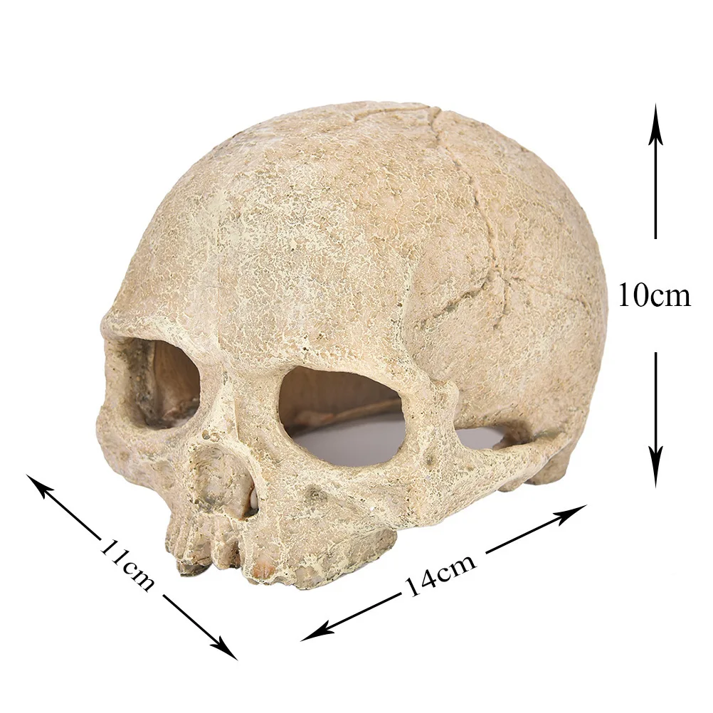Resin skull aquarium ornaments reptile habitat primate skull decor for reptile terrarium