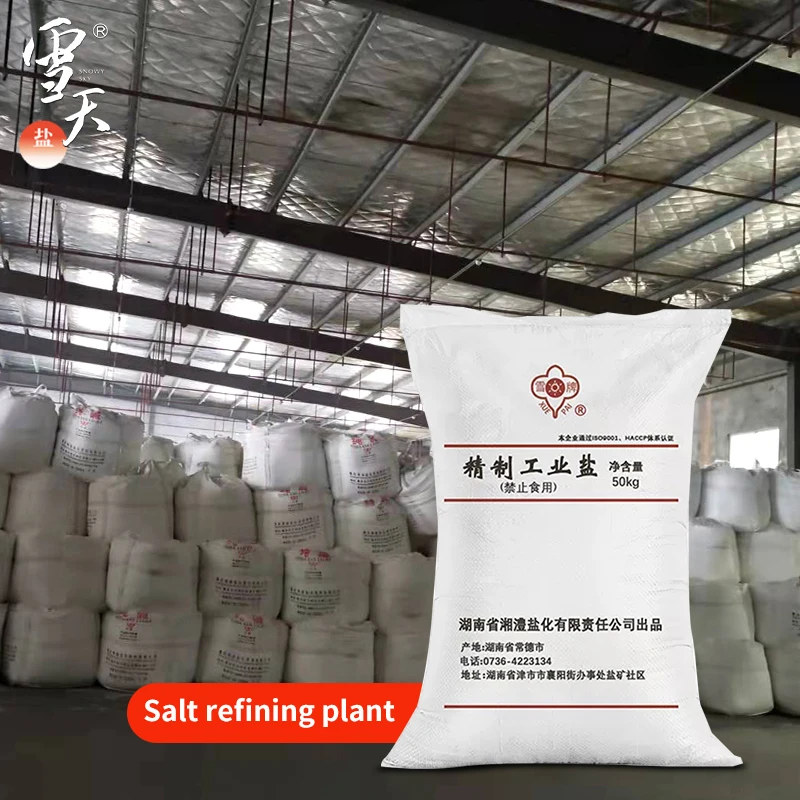 SNOWY SKY industrial refined salt salt refining plant