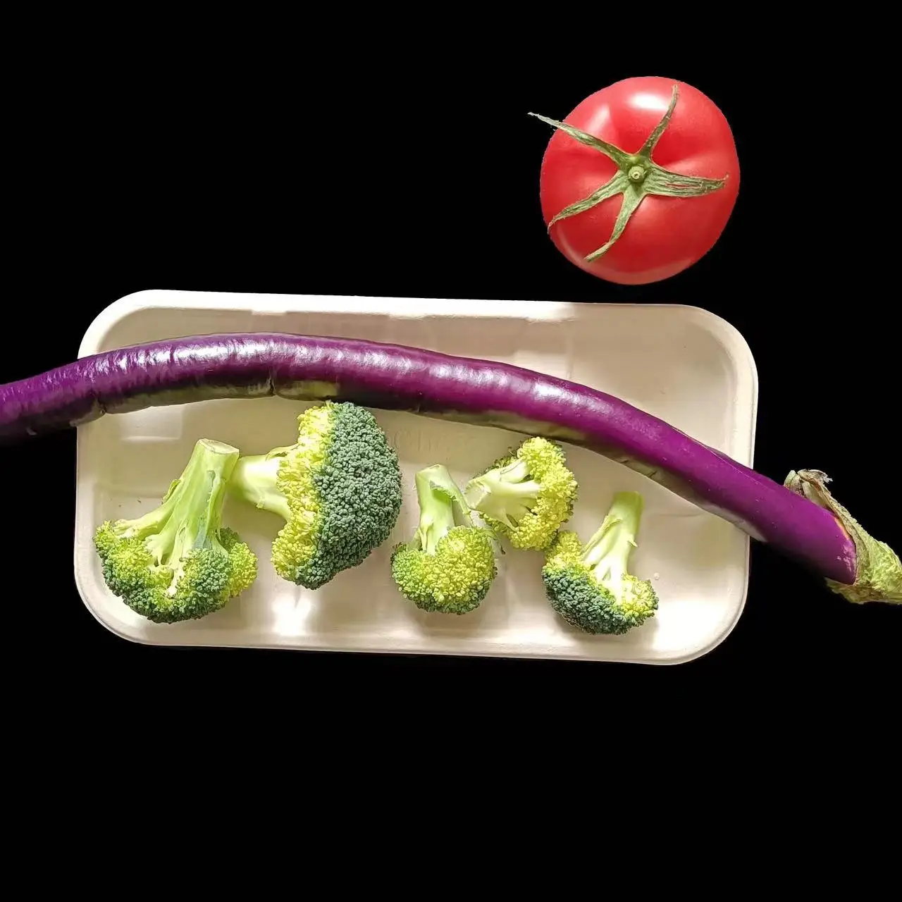 High Quality Disposable Bagasses  Plates Food Dinner Set Disposable compostable Plate  Bagasse Eco Friendly240423 tableware