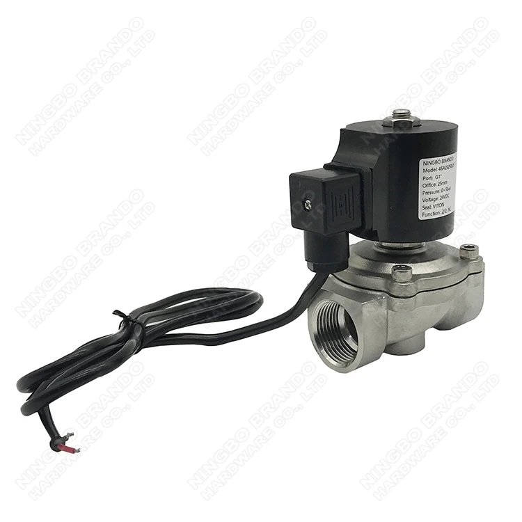 1 Inch IP68 Waterproof Stainless Steel Solenoid Valve For Dancing Music Water Fountain 1' 220VAC 110VAC 24VAC 24VDC 12VDC