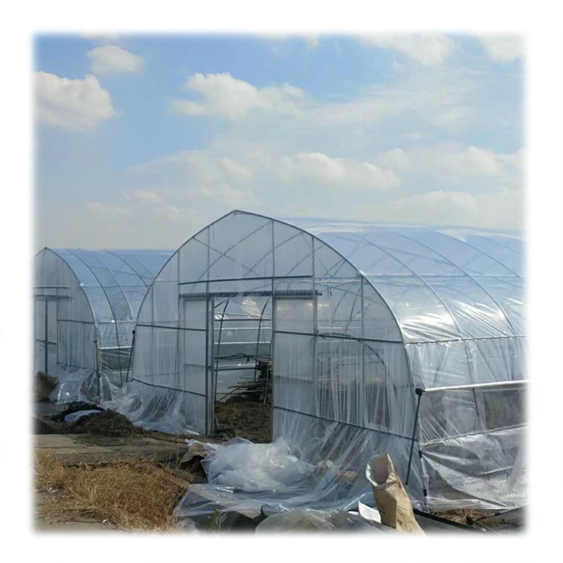 Techygro GH-03A Agricultural Greenhouse Equipped Cooling System Plastic Film Multi-Span Greenhouses Use Hot Weather For Sale