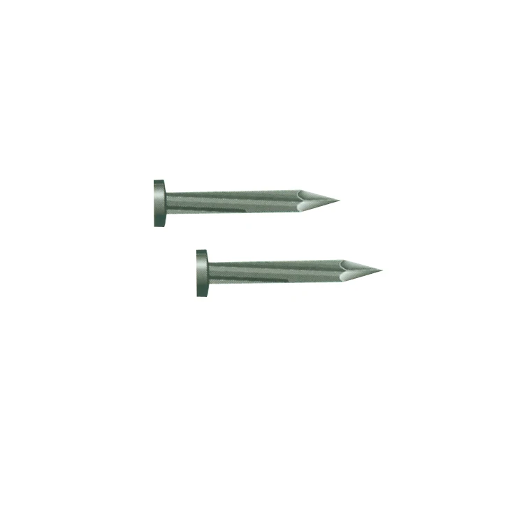 Manufactory Wholesale electric galvanized concrete steel ring shank concrete nail