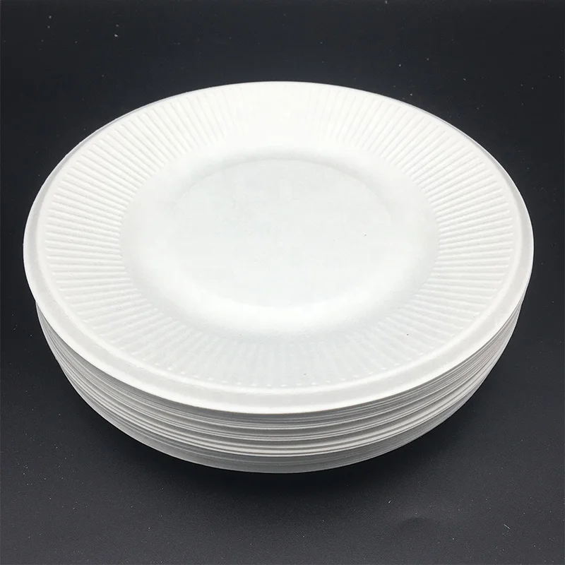 HeePack 9 inch Biodegradable Round Natural Plate Zero Waste Disposable Bagasse Dinner Plate Sugarcane Tableware