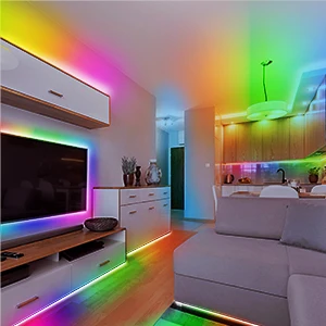 Shenzhen Waterproof 2m 3m 5m 5050 5v Neon RGB Christmas USB port LED Strip Lights