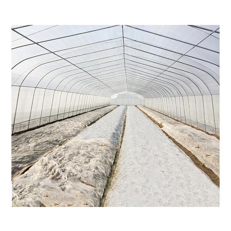 
Economic hot galvanized greenhouse single span green house film vegetable greenhouse for tomato 