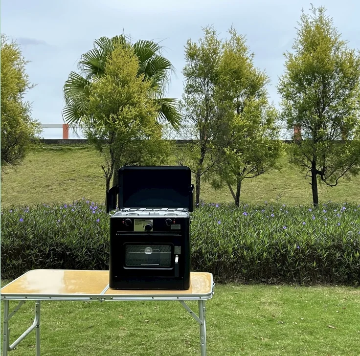 Hot Sale Luxury Portable Outdoor Camping 2 Burner BBQ Gas Oven With Stove Garden Gas Cooker For Barbecue