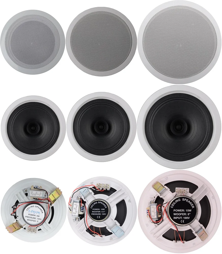 HSR109-8T 100V 15W 8 Inch Full Range Speaker