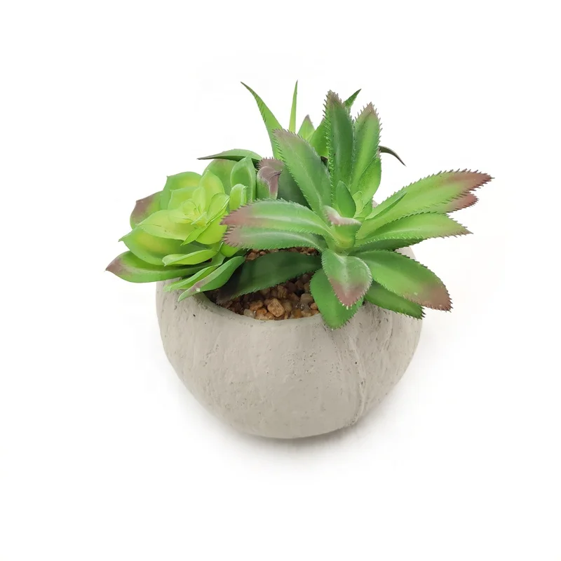 Small Cement Potted Artificial Echeveria Succulent Plants
