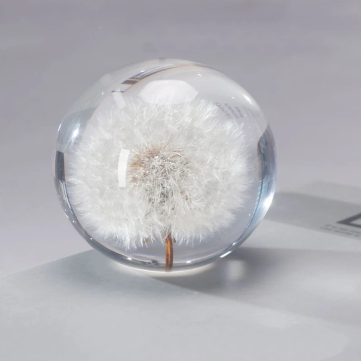Dandelion Transparent Crystal Resin Ball Real Dried Dandelion Glass Decoration Plant Specimen For Desk Decoration