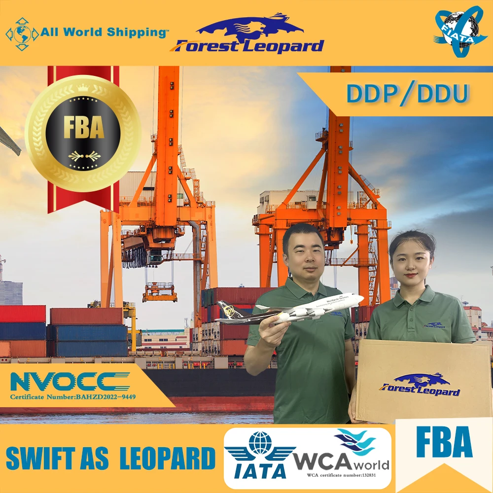 Экспедитор груза США Ddp Ddu Fba морская Доставка из Китая в США