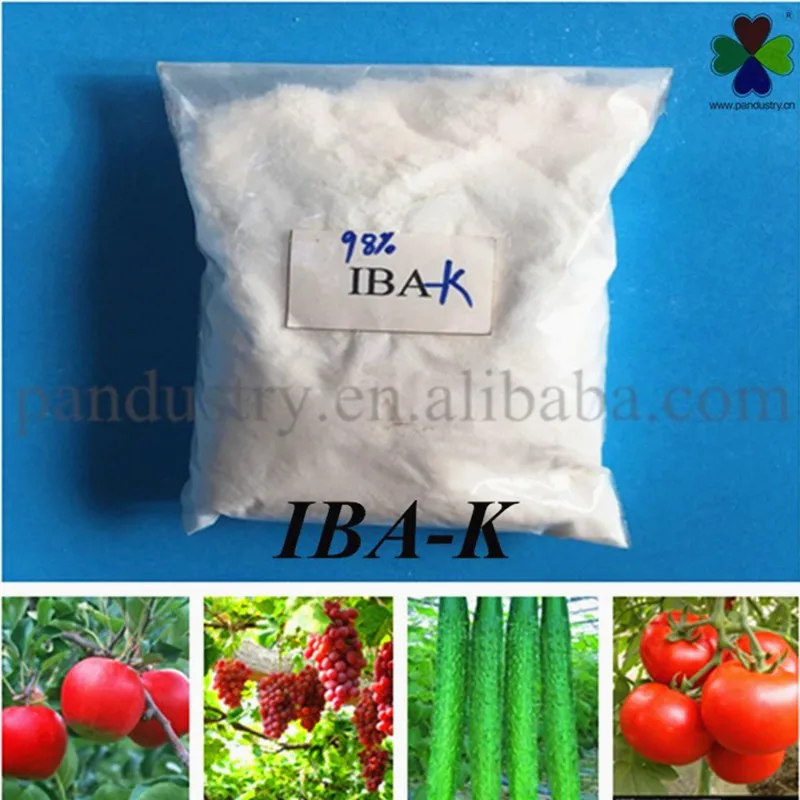 Panpan Chemical IBA-K Plant Growth Regulator IBA-K Rooting