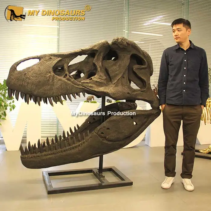 Мой Dino-M13-9 динозавр музейного качества искусственные