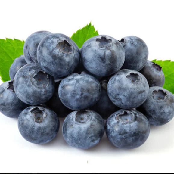 IQF Fruit Fresh Frozen Fruit Blueberry in Bulk