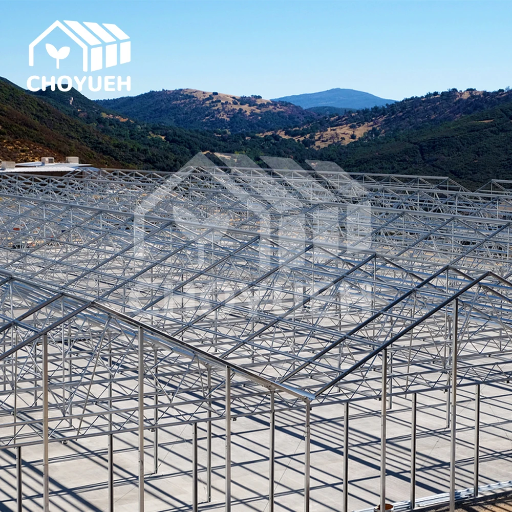 Greenhouses for medical/mushroom agriculture, equipped with shading systems for agriculture, manufactured in China