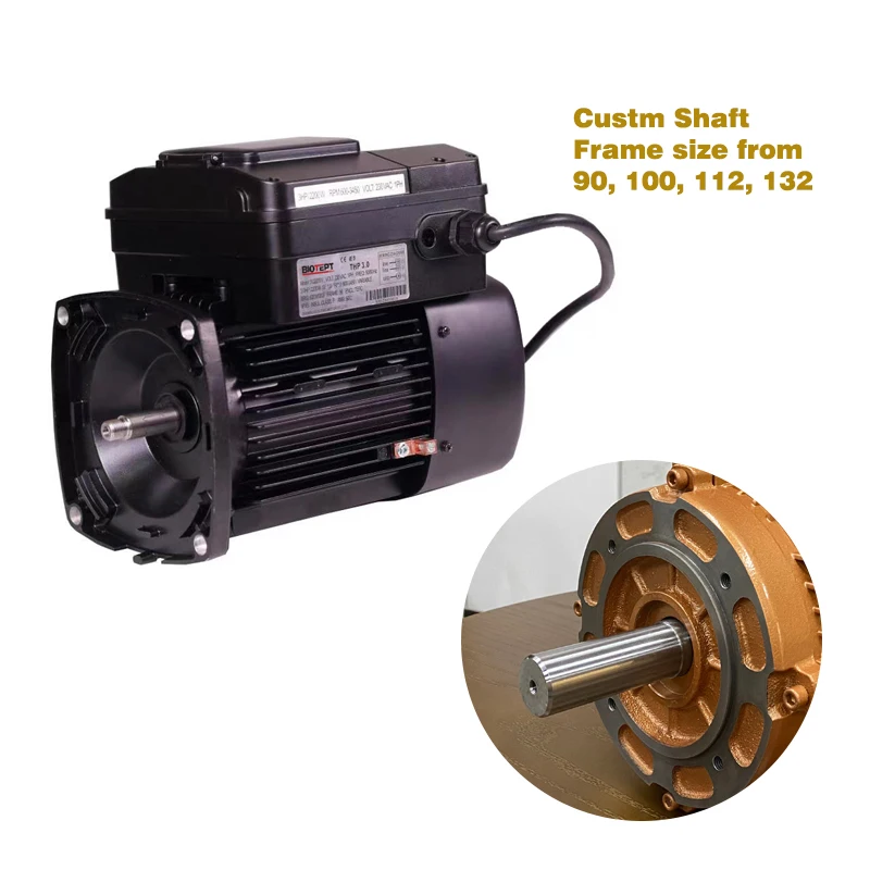 3 phase high efficiency Stainless Steel Vertical Multi-stage Pumps permanent magnet AC motor