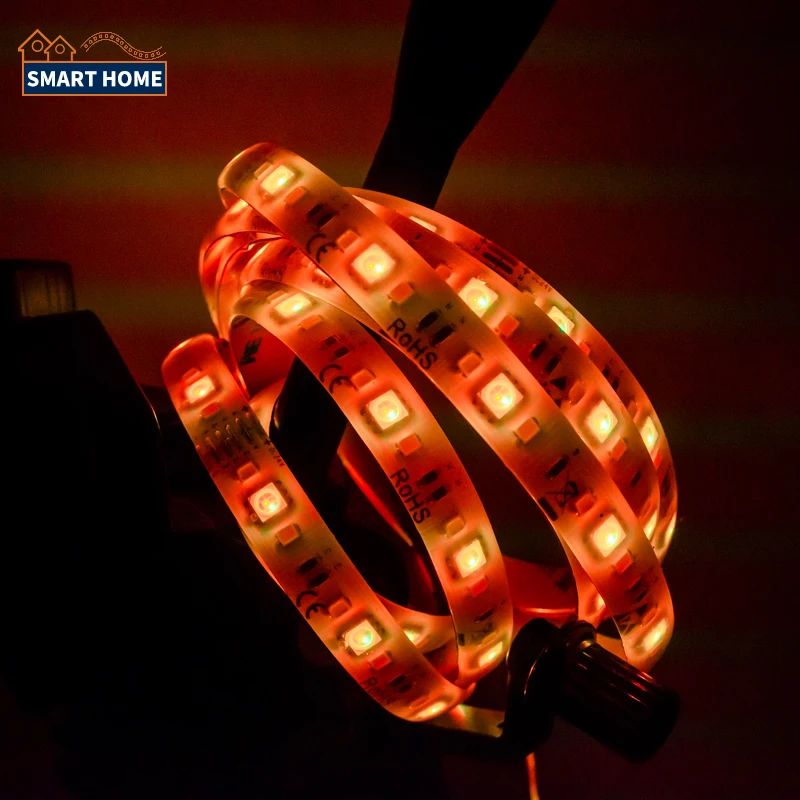 Strips Rgbww Stripe Rgb 30 60 Leds M Ws2812 App 5050 Smd Wifi Led Strip zigbee Smart Alexa Speaker controlledTuya led light