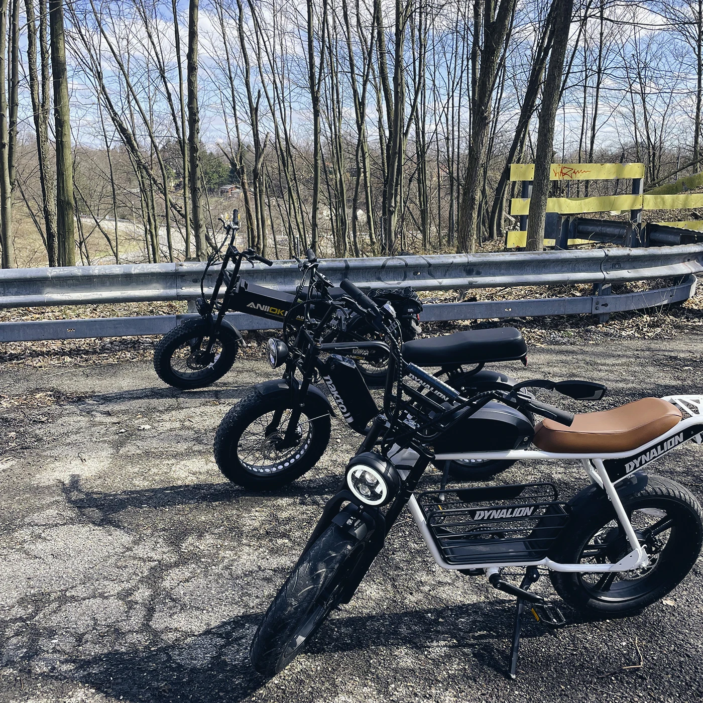 Cheap Price Mountain Bike 2 Seater Electric