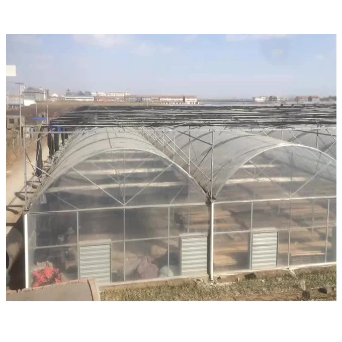  Multi-span Plastic Tunnel PE/ PO Film Agricultural Greenhouse with Hydroponics System Cheap