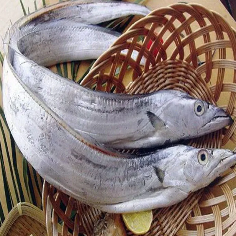 
Hairtail Factory Direct supply aquatic seafood wholesale Wild small-eye frozen fresh long-tailed anchovy frozen7kg/Pieces 
