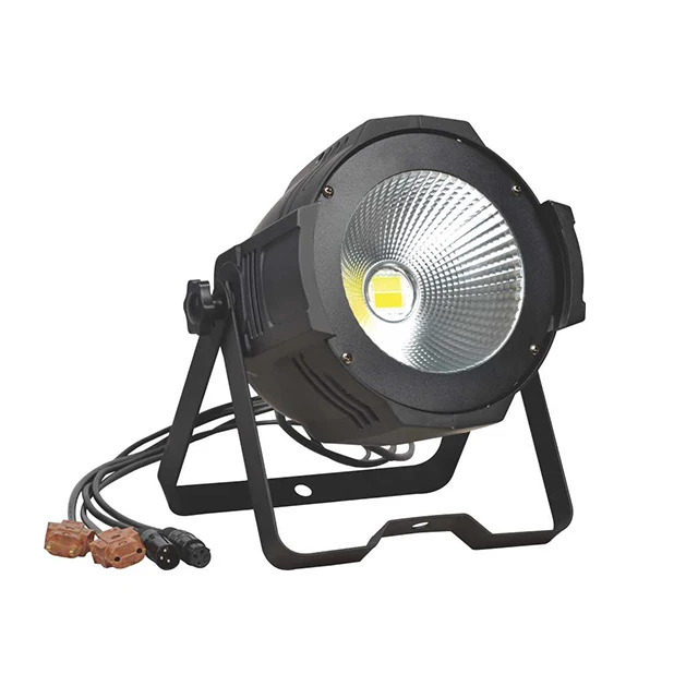warm white /Cold white led 100w cob led par light