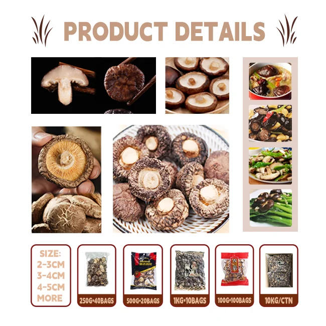 Wholesale high quality Dried mushroom hot sale