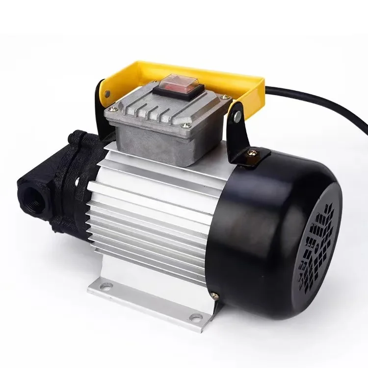 Многофункциональный 220V-750W Мощный электрический насос для заправки дизельного топлива в сборе Электрический топливный