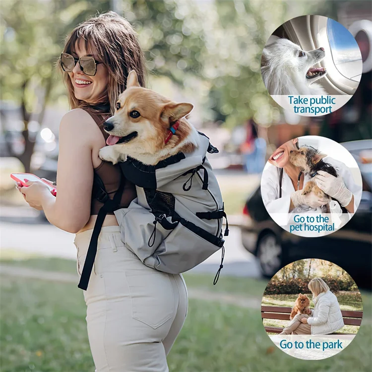 Wholesale high quality outdoor travel waterproof dog cat pet carrier backpack bag