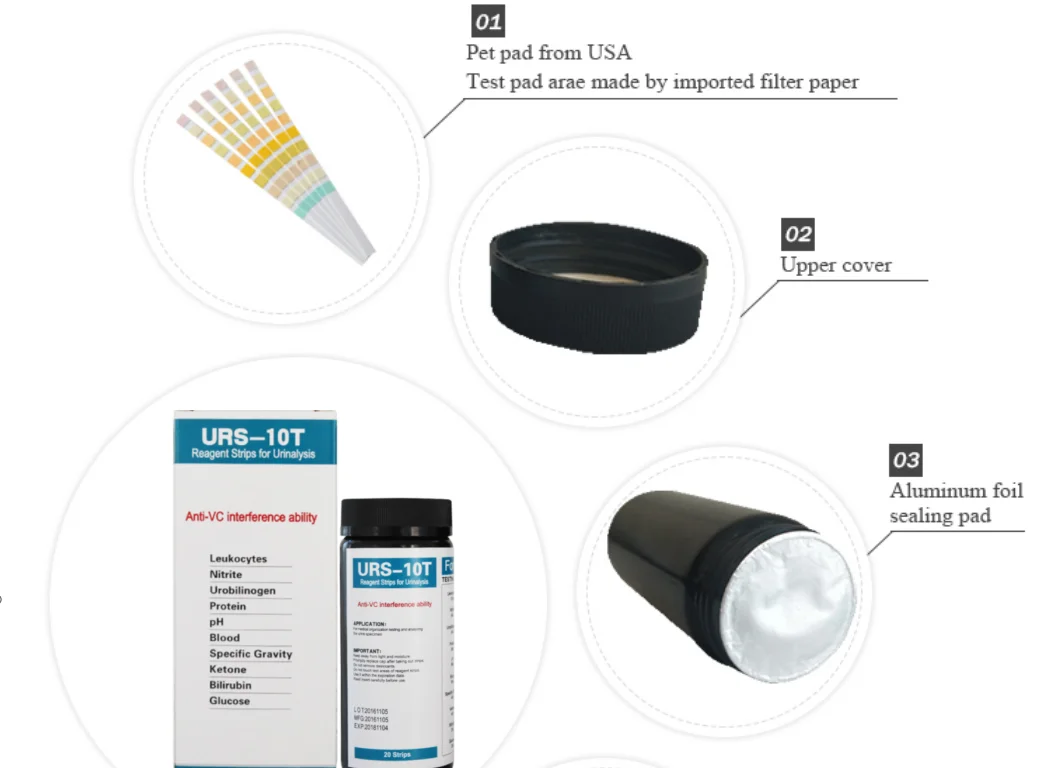 Customized Health for Pet Dog Cat 10 Parameters Urine Testing Strips One Step Urinalysis Rapid Test Strips Vet Parameter Sticks