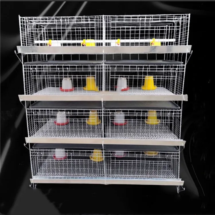 Automatic Galvanized Farm Equipment Livestock Poultry Broiler Chicken Battery Laying Cage with Manure System