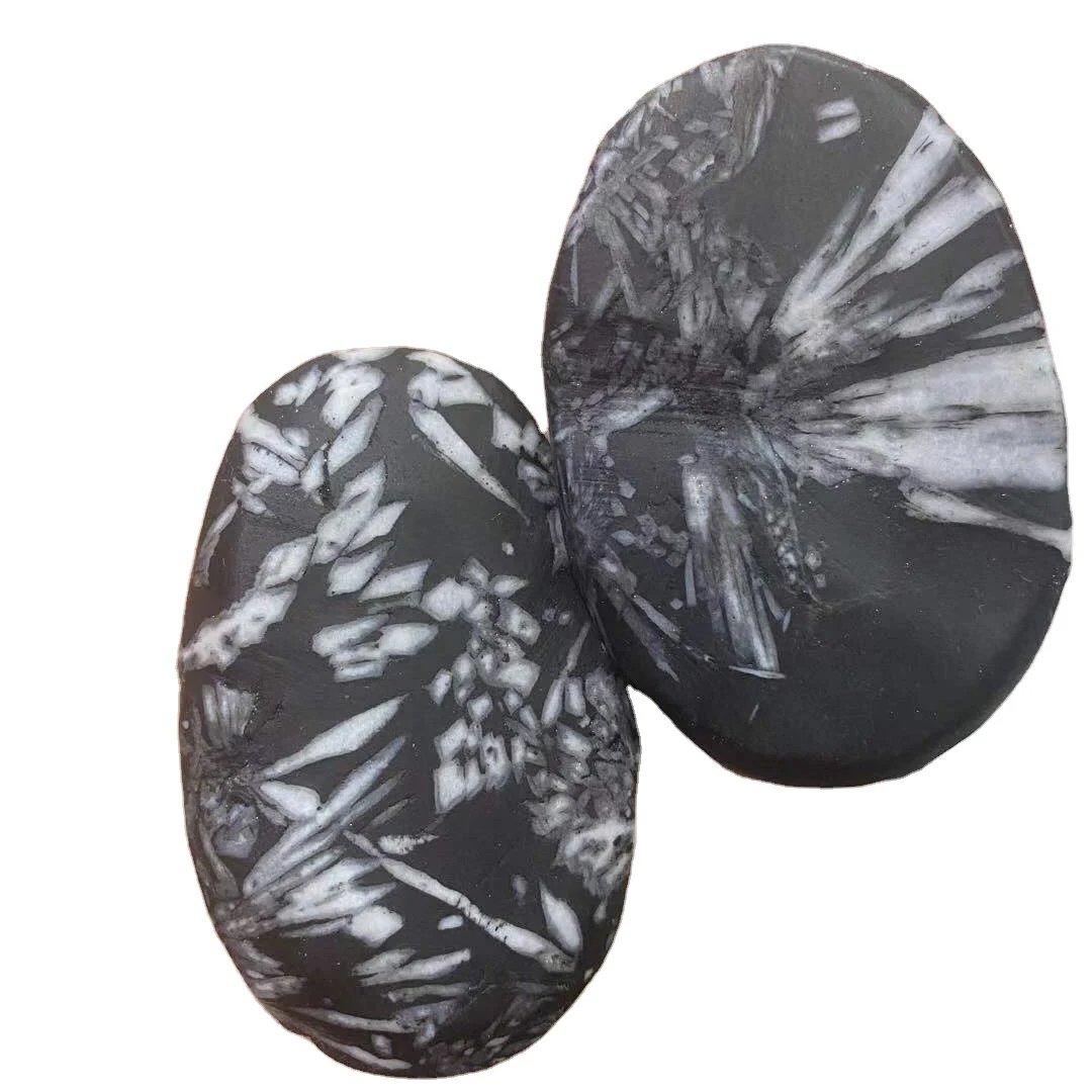 Wholesale Natural Raw Stone Specimen Mineral Rough Chrysanthemum Palm Stone For Decoration