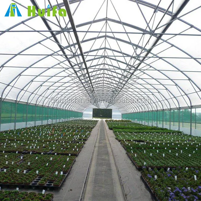 Industrial Single Span Mushroom Grow Tent Greenhouse Tunnel Polycarbon Light Dep Automatic Curtain Hydroponic Greenhouse Garden